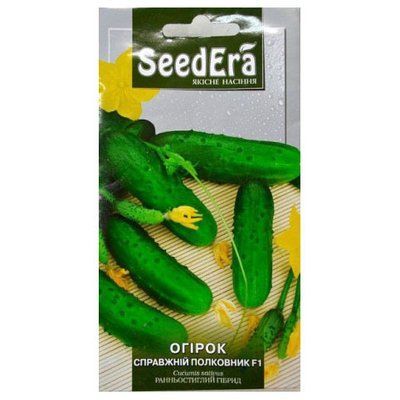 Насіння огірка Справжній полковник F1, 10 нас ( Seedеra)