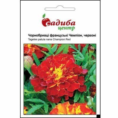 Насіння квітів Чорнобривці Чемпіон (червоні) 0,2 г (Садиба Центр)