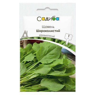 Насіння щавлю Широколистий, 1 г (Садиба)