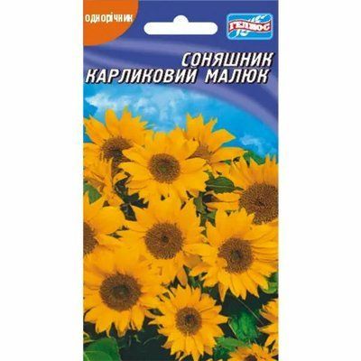 Насіння квітів соняшник Карликовий малюк 10 шт (Геліос)