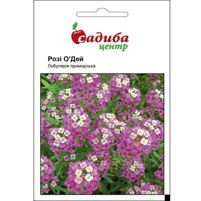 Лобулярія приморська Розі О'Дей 0,1 г (Садиба Центр)
