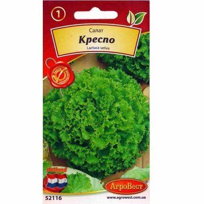 Насіння салату Креспо , 0,5 г (АгроВест)
