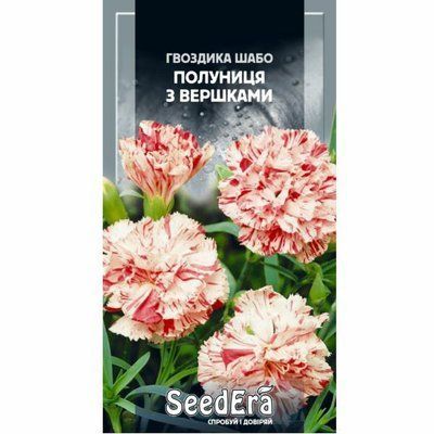 Гвоздика Шабо махрова Полуниця зі сливками Seedera, 0,2 г