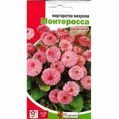 Маргаритка махрова Монтероса рожева 0,1 г (Яскрава)