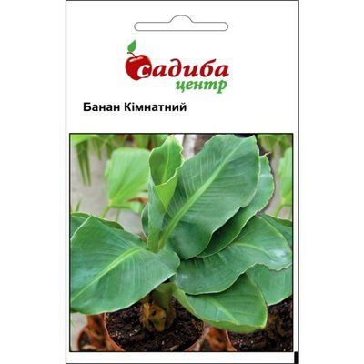 Банан кімнатний 3 шт (Садиба Центр)