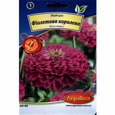 Квіти Майори Фіолетова королева 0,5 г (АгроВест) 48681681 фото