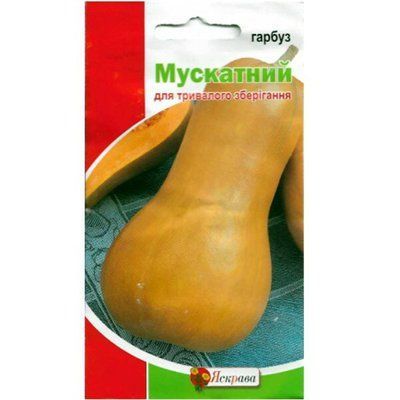 Гарбуз Мускатний 1г (Яскрава)