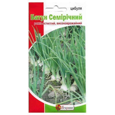 Насіння цибулі Батун Семирічний, 1г (Яскрава)