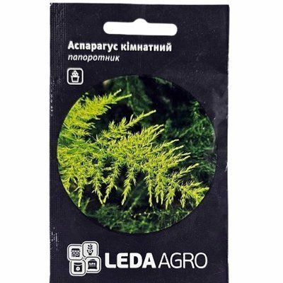 Насіння квітів Аспарагус кімнатний , 5 шт(LEDAAGRO)