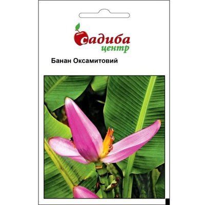 Банан оксамитовий 3 шт (Садиба Центр)