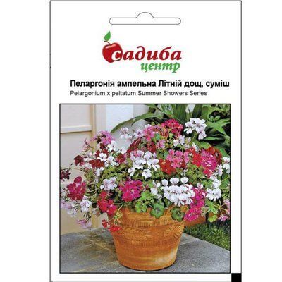 Пеларгонія ампельна Літній дощ, суміш, 3 нас (Садиба