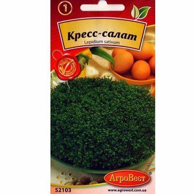 Насіння салату Кресс-салат, 5 г (АгроВест)