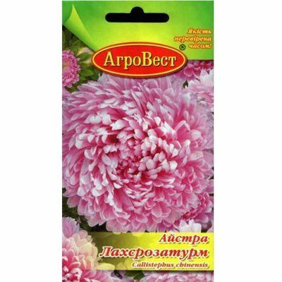 Квіти Айстра півонієвидна Лахсрозатурм 0,3 г (АгроВест)
