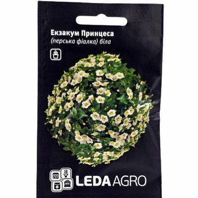 Насіння квітів Екзакум Принцеса, 5 шт (LEDAAGRA)
