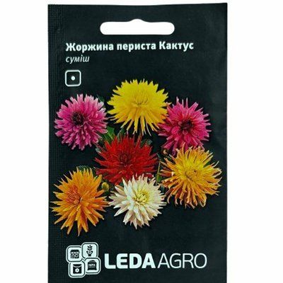 Насіння квітів Жоржина периста Кактус , 0,2 г(LEDAAGRO)