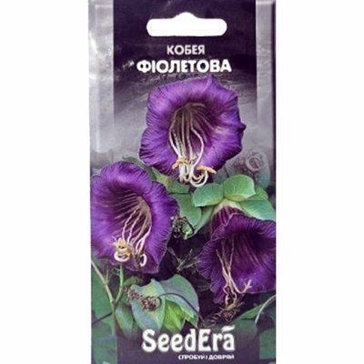 Насіння квітів Кобея фіолетова, 0,25 г(SeedEra)