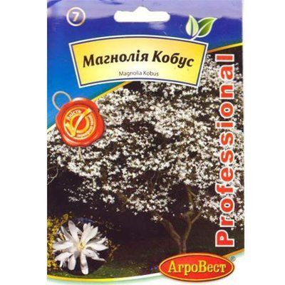 Насіння Магнолії Кобус 5 шт (АгроВест)