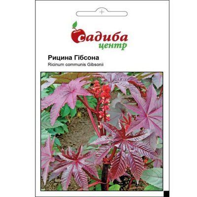 Насіння квітів Рицина Гібсона , 3 шт (Садиба Центр)