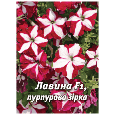 Насіння квітів Петунія Лавина F1 (пурпурова зірка), 50 шт (Leda Agro)