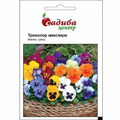 Насіння квітів Фіалка Триколор Максимум F2 (суміш) 0,05 г (Садиба Центр)