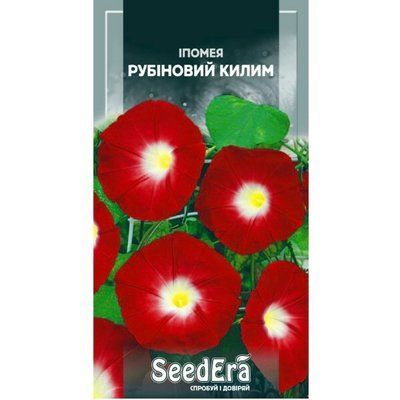 Насіння квітів Іпомея Рубіновий килим Seedera, 0,5 г