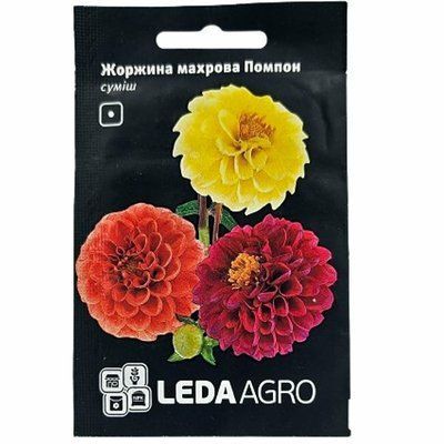 Насіння квітів Жоржина махрова Помпон , 0,2 г(LEDAAGRO)