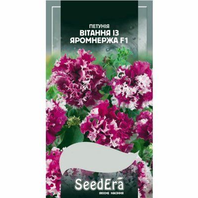 Петунія бахромчаста великоквіткова низькоросла Вітання із Яромнержа F1 Seedera, 10 шт