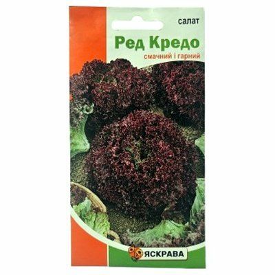 Насіння салату Ред Кредо, 1 г (Яскрава)