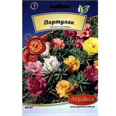 Квіти Портулак 0,2 г (АгроВест)