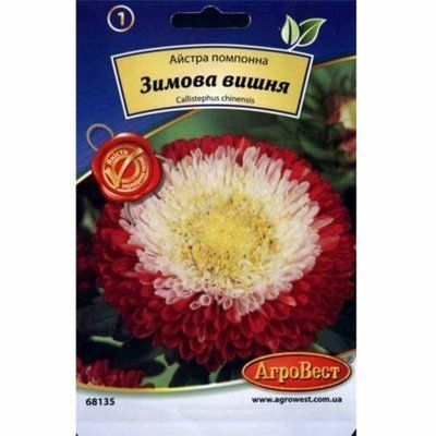 Квіти Айстра помпонна Зимова вишня 0,3 г (АгроВест)