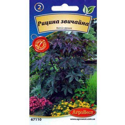 Насіння квітів Рицина звичайна 5 шт (АгроВест)