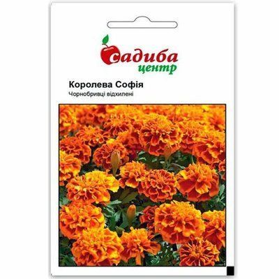 Насіння квітів Чорнобривці Королева Софія 0,2 г (Садиба Центр)