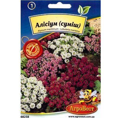 Насіння квітів Алісіум суміш , 0,2 г (АгроВест)