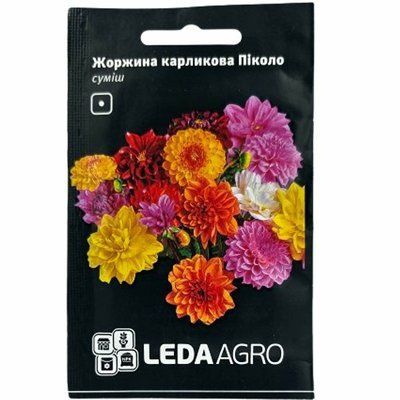 Насіння квітів Жоржина карликова Піколо , 0,2 г(LEDAAGRO)