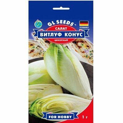 Насіння салату цикорний Вітлуф , 1 г (GL SEEDS)