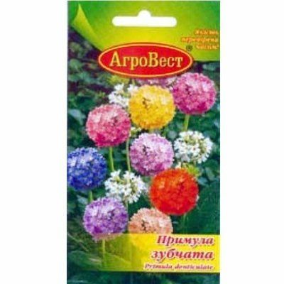 Квіти Примула зубчата 0,05 г (АгроВест)