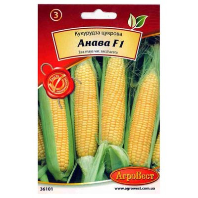 Насіння кукурудзи цукрової Анава F1 , 4 г (АгроВест) 4821000006115 фото