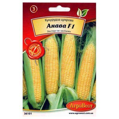 Насіння кукурудзи цукрової Анава F1 , 4 г (АгроВест)